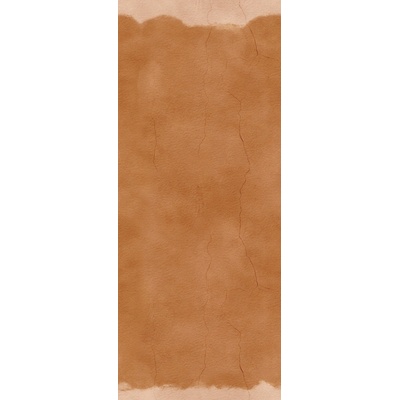 Masureel DGALC1013-260 vliesová tapeta na zeď Terra, rozměry 1,06 x 2,6 m