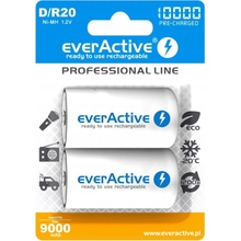 everActive professional line D 10000mAh 2ks EVHRL20-10000