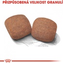 Granule pro psy Royal Canin Giant Adult 15 kg