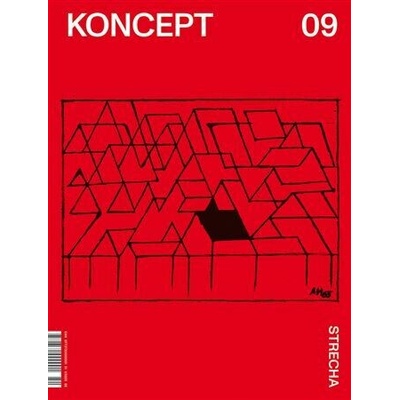Koncept 09 - Strecha