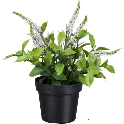 Gasper Gasper Umelá ruža v kvetináči, výška 18 cm, biela