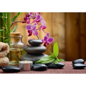 Image 1 of Alipson Puzzle - Puzzle Zen 500 alipson - 500 piese