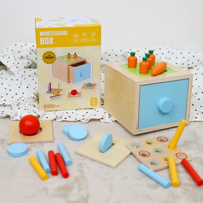 Edu Kid Montessori box 4 v 1