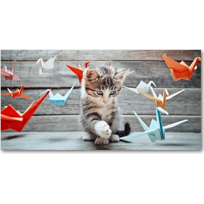 Foto obraz akrylový Mačka vtáky z papiera 100x50 cm
