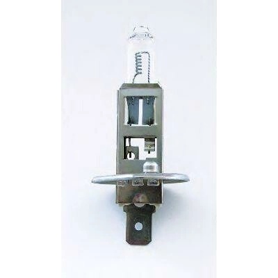 Philips MasterDuty H1 P14,5s 24V 70W 13258MDC1
