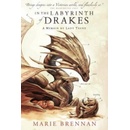 In the Labyrinth of Drakes - Brennan Marie