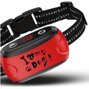 Patpet B301