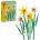LEGO® Constructor LEGO® Daffodils 40747