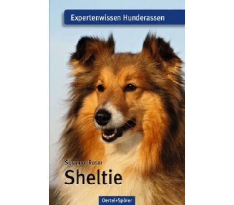 Sheltie