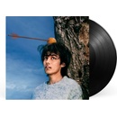 Aron! - TOO CLOSE FOR RUNNING LP