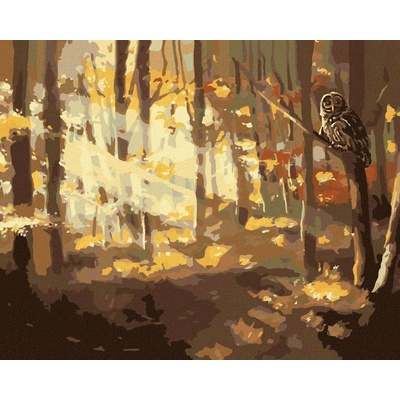 Zuty Malování Podle Čísel Sova A Les Na Podzim D. Rusty Rust 80 x 100 Cm Plátno Rám