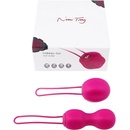 Nomi Tang - IntiMate Kegel Set