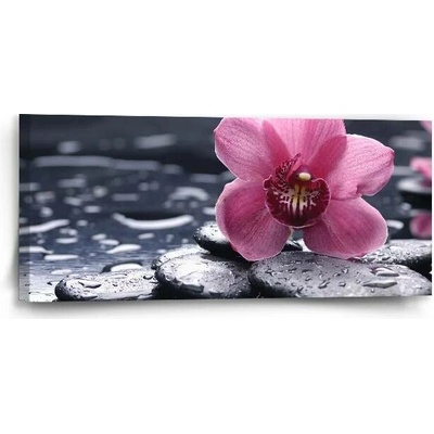 Sablio Obraz Orchidej - 110x50 cm