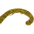 Repti Zoo Liana s přírodním mechem 1 cm x 2 m