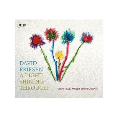 David Friesen - A LIGHT SHINING THROUGH CD