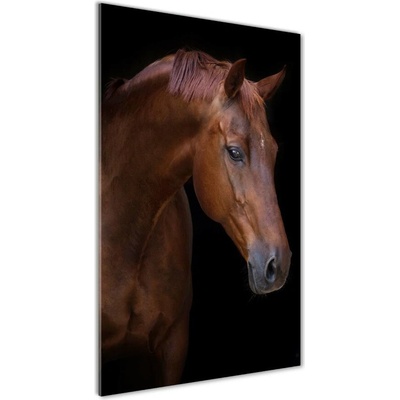 Vertikálny foto obraz fotografie na skle Portrét koňa 50x100 cm