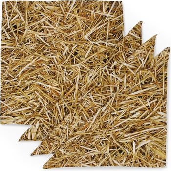 Foonka Платнени подложки за чинии Foonka слама 4 бр (TM_36X36-S)