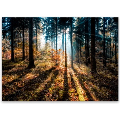 Styler Картина Glasspik , 70 x 100 cm Autumn Sunset - Styler (GL-01384)