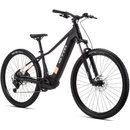 CTM RUBY GX 2026