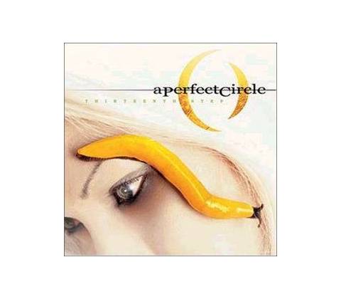 Thirteenth Step - A Perfect Circle LP