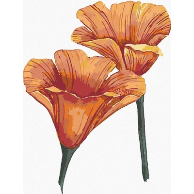 Zuty Malování Podle Čísel Kalifornské Vlčí Máky Alexandria Gilbert 40 x 50 Cm Plátno