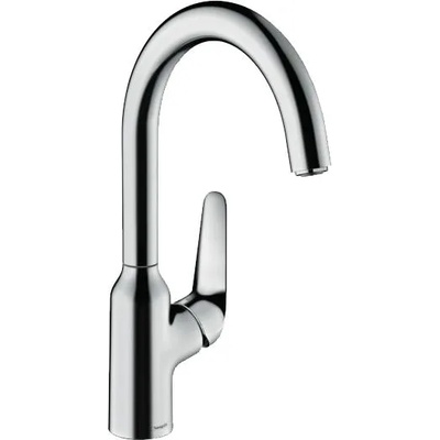Hansgrohe Focus 71802000