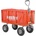Hecht 52184