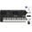 Yamaha PSR-E483 Set