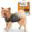 ThunderShirt успокояваща жилетка за кучета XS