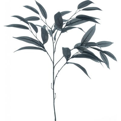 Mango větev černá V76 cm