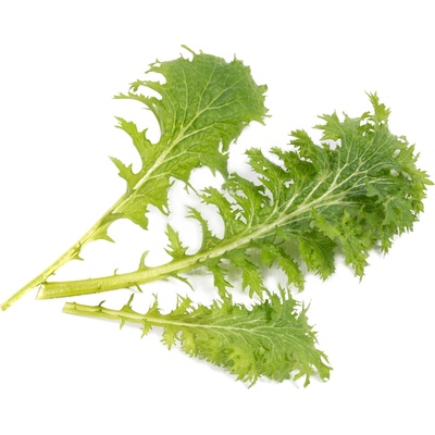 Veritable Вложка за семена Lingot вкусове на Азия горчица уасаби (VLIN-S10-Was06A)