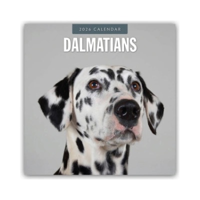 Browntrout Verlags GmbH Dalmatians - Dalmatiner 2026 - 16-Monatskalender | Red Robin