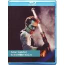 GABRIEL, PETER - SECRET WORLD LIVE