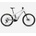 Orbea Wild ST H20