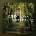 FOXX, JOHN - AVENHAM CD