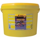 Tropical Cichlid colour flake XXL 5 l 1 kg