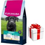 EUKANUBA за възрастни кучета от големи породи с пилешко месо 15кг + безплатна изненада за кучето