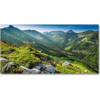 Foto obraz sklenený horizontálny tráva 100x50 cm