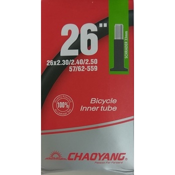 Chaoyang AV