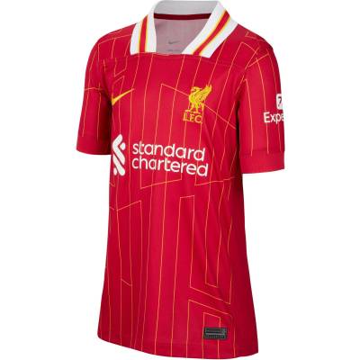 Nike Риза Nike LFC Y NK DF JSY SS STAD HM 2024/25 fn9154-688 Размер XS (122-128 cm)