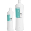 Šampóny Fanola Purity Anti-forfora Shampoo šampón proti lupinám s antibakteriálnym účinkom 350 ml