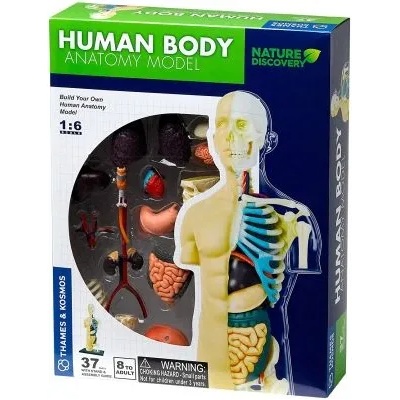 Thames & kosmos - Конструирай модел на човешкото тяло (260830)