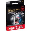 SanDisk SDXC UHS-I U3 256 GB SDSDXXD-256G-GN4IN