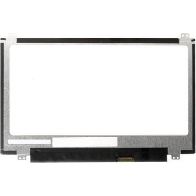 Asus EEEBOOK X205TA-FD display 11.6" LED LCD displej WXGA HD 1366x768 matný povrch