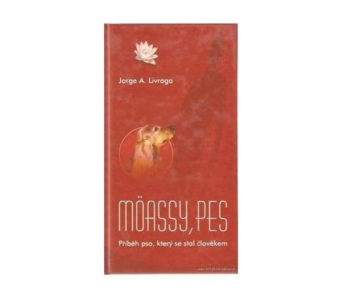 Möassy, pes