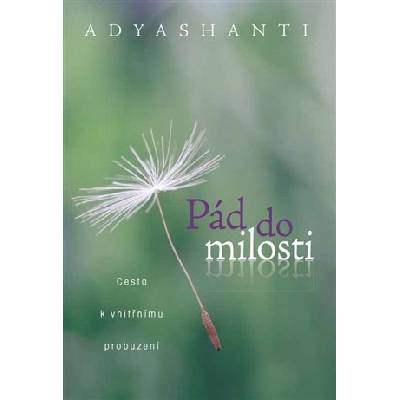Pád do milosti - Cesta k vnitřnímu probuzení - Adyashanti