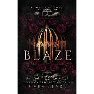 Blaze (ISBN: 9781916671652)