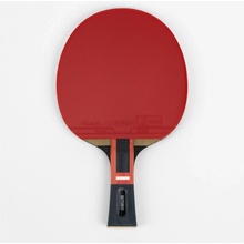 Butterfly Zhang Jike