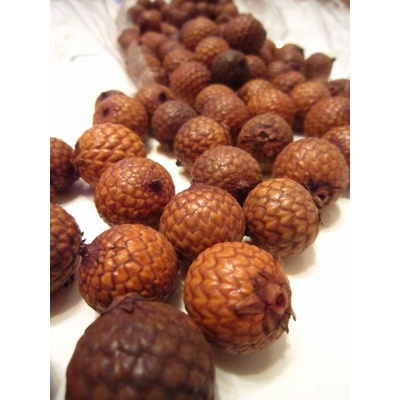Heembloemex Deco Suché plody 50 g