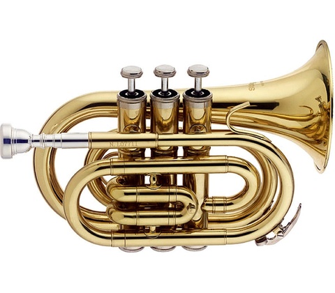 Stagg WS TR245S